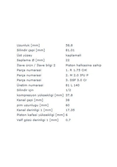 Mahle 0309000 Pıston+segman 81,01mm Std 1, 2, Pıstonlar Caddy Iıı 04 10 Golf V 04 08 2,0sdı Bdj Bdk Bst 04 10