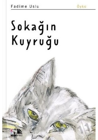 Nesin Yayınları Sokağın Kuyruğu