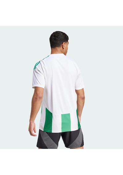 Adidas Striped 24 Jsy Erkek Futbol Forması Yeşil Iw2148