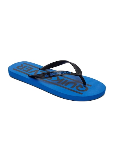 Quiksilver Java Wordmark Youth Erkek Çocuk Parmak Arası Terlik Mavi