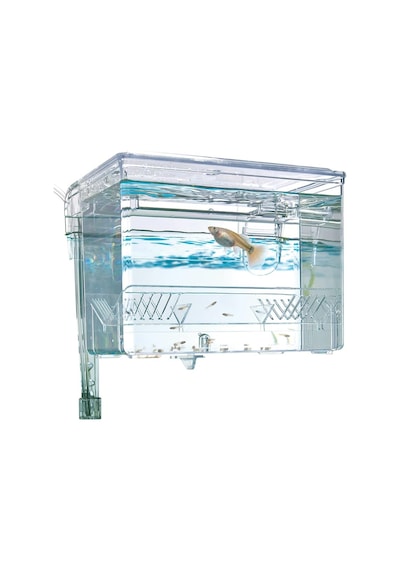 Marina Fluval Hang-on Yetiştirme Havuzu M, 1,2 L Kapasiteli, Balıklar İçin, Akvaryum İçin