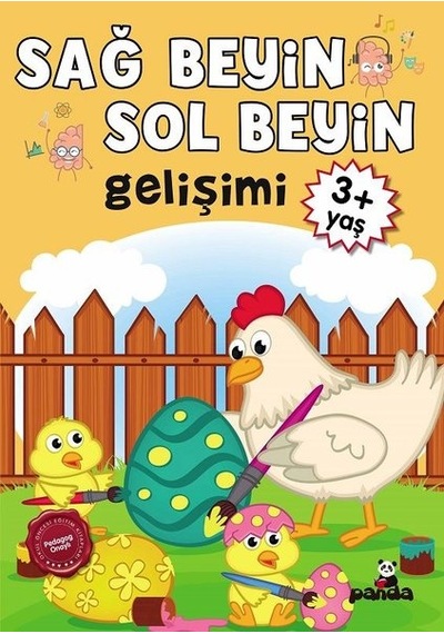 3 Yaş Sağ Beyin - Sol Beyin Gelişimi- Panda