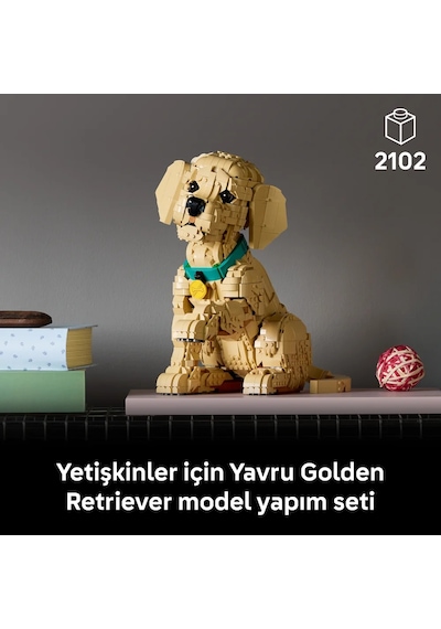 LEGO® Icons Yavru Golden Retriever 11384 - Yetişkinler için Dekoratif Hayvan Figürü Yapım Seti (2102 Parça)