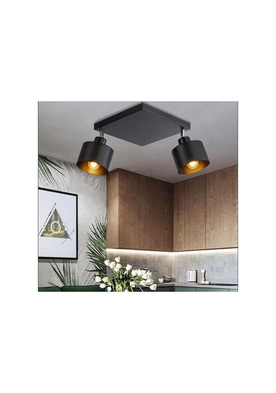 Rsylight Retro Metal Dekoratif Rustik Tavan Plofyoner Siyah 2 Li Mafsallı Avize Çap 25 Cm-1464490346258 Beyaz