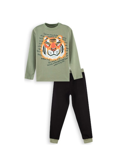 Denokids Kaplan Erkek Çocuk T-shirt Pantolon Takım Renkli