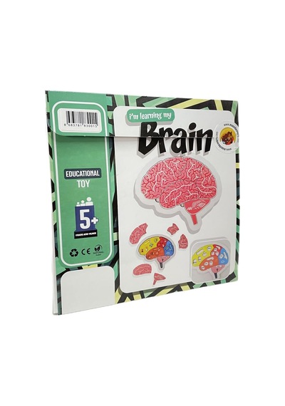 Beynimi Öğreniyorum Eğitici Öğretici Geliştirici Ahşap Sağlıklı Oyuncak - Moon Beavers