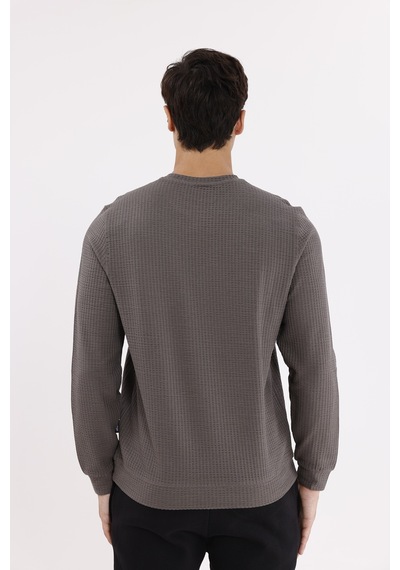 Rowinger Petek Yüzeyli Bisiklet Yaka Rahat Kalıp Lastik Manşetli Mevsimlik Sweatshirt Antracite Rowinger Petek Yüzeyli Bisiklet Yaka Rahat Kalıp Lastik Manşetli Mevsimlik Sweatshirt Antracite