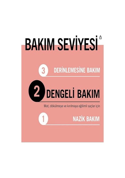 Split Hair Miracle İyonik Kompleks Kırık Uçları Mühürleyen Saç Bakım Kremi 200ml Yıpranmış Saçlar