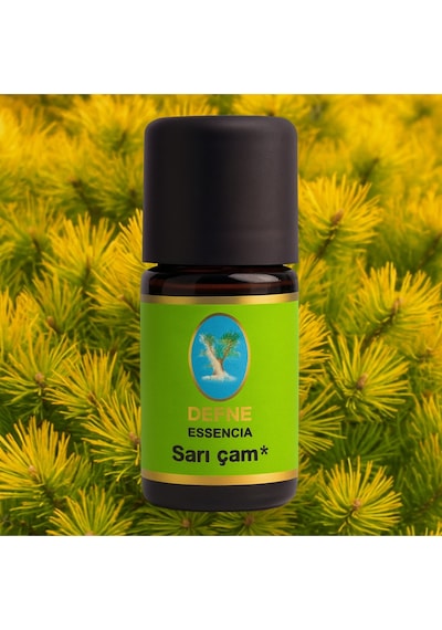 Sarı Çam Organik %100 Saf Uçucu Yağ 10ml