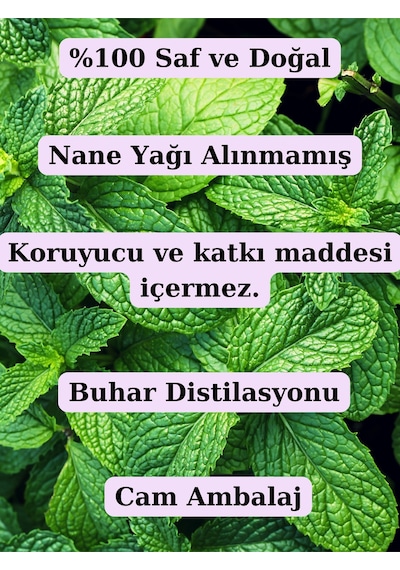 Saf Nane Hidrosolü 100 Ml - Nane Suyu