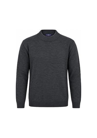Classics Men Regular Fit Yarım Balıkçı Yaka Basic Triko Kazak 7812 Füme