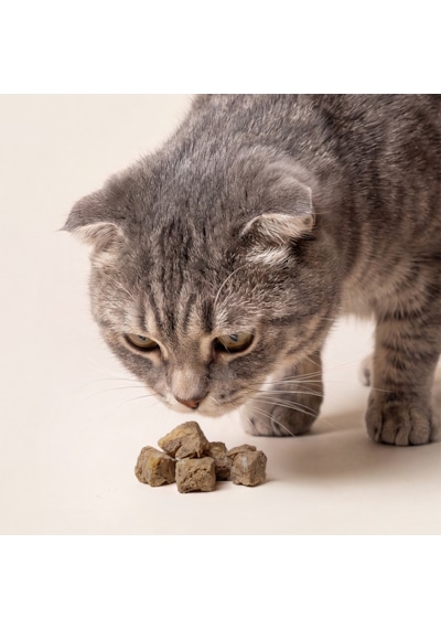 Kito Freeze Dried Tavuk Ciğer Ödül Maması 30 Gr Kediler Ve Köpekler İçin