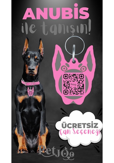 Petjoo 30.Anubis Gri-Pembe Qr'lı Köpek Künyesi