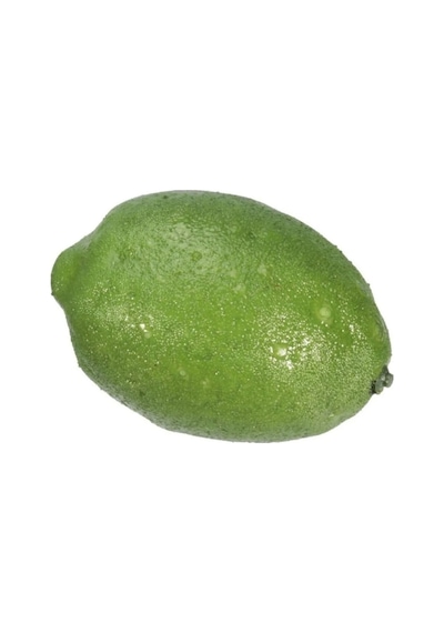 Rüzgar Çiçekcilik Yeşil Limon Yeşil