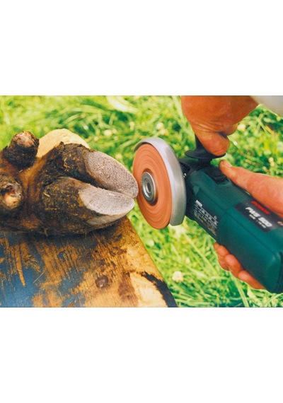 Philipsen Tırnak Kesme Diski 115 mm
