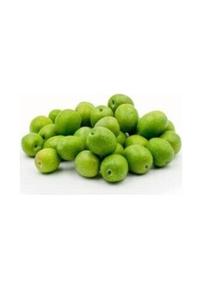 Zeytin Fidanı Gemlik Sofralık ve Yağlık