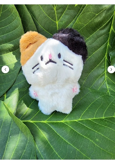 Pepikon Enhypen Skzoo Kpop Peluş Oyuncak Anahtarlık 10 Cm Çanta Süsü Aksesuar Beyaz - Krem