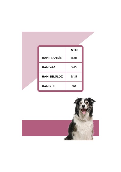 Derma Shine Somonlu Ve Pirinçli Yetişkin Köpek Maması 12 Kg