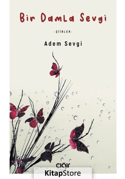 Bir Damla Sevgi - Şiirler - Adem Sevgi - Çığır Yayınları