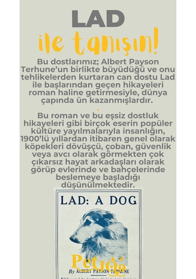 Petjoo 23.Lad Sarı-Gri Qr'lı Köpek Künyesi