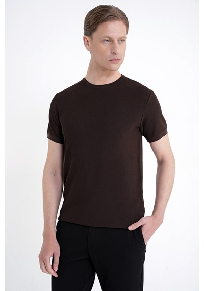 Efor Comfort Fit Rayon Karışımlı Kahverengi Bisiklet Yaka Tişört Ts 925
