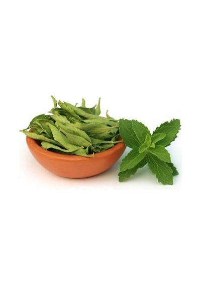 Şeker Otu Tohumu Stevia Tohumu 20 Adet Tohum + Tohum
