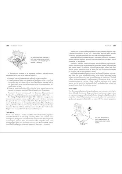 Storey's Guide To Raising Poultry, 4th Edition: Chickens, Turkeys, Ducks, Geese, Guineas, Game Birds