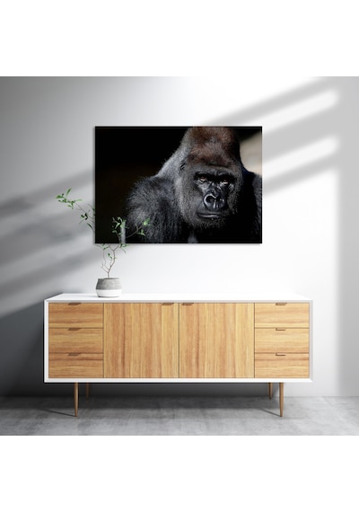 Cakasepetim Western Lowland Gorilla Görseli Ahşap Mdf Tablo