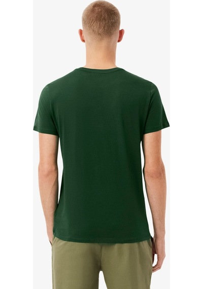 Lacoste Erkek Regular Fit Bisiklet Yaka T-shirt Yeşil