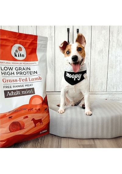 Kito Doğal Besi Kuzu Etli Yetişkin Mini Irk Köpek Maması 2.5 KG