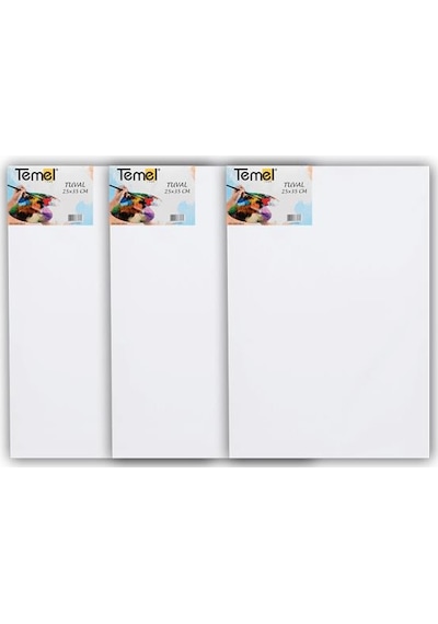 Temel 25x35 Cm 3 Lü Tuval