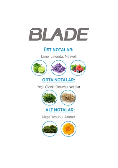 Blade Cool Fresh Erkek Parfüm EDT 70 ML