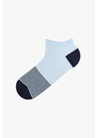 Penti Erkek Renkli Stripe Fade 3'lü Patik Çorap