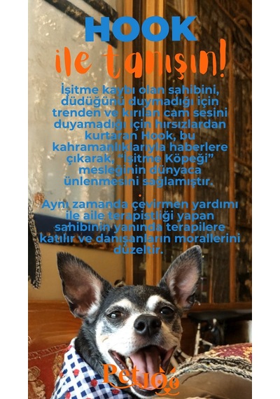 Petjoo 7.Hook Turuncu-Mavi Qr'lı Köpek Künyesi