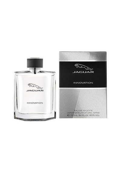 Innovation Edt 100 Ml Erkek Parfüm Diğer