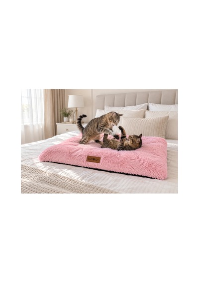 Kedi Ve Köpek Peluş Yer Minderi Üst Kalite Yıkanabilir Kılıflı Fermuarlı Boncuk Elyaf Kaydırmaz Taban Kedi Ve Köpek Yatağı Pembe 1716914340 Kedi Ve Köpek Peluş Yer Minderi Üst Kalite Yıkanabilir Kılıflı Fermuarlı Boncuk Elyaf Kaydırmaz Taban Kedi Ve Köpek Yatağı Pembe 1716914340