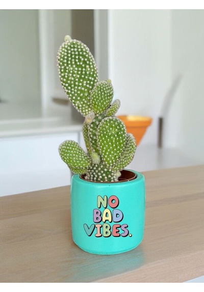 No Bad Vibes Temalı Özel El Yapımı Hediye Saksı Çiçeksiz Model 125