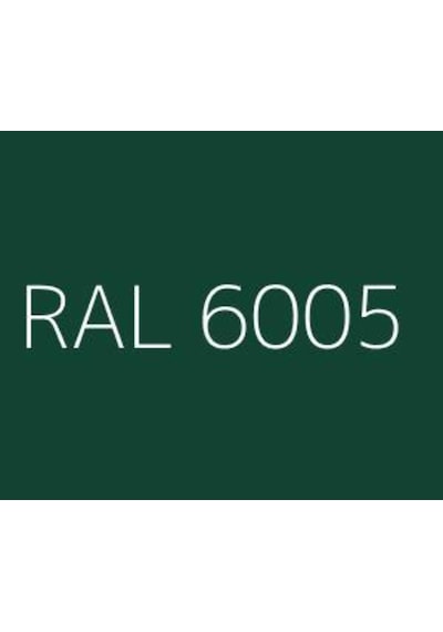 Pamukkale Rapid Boya 2.5 Kg Zümrüt Yeşili Ral 6005