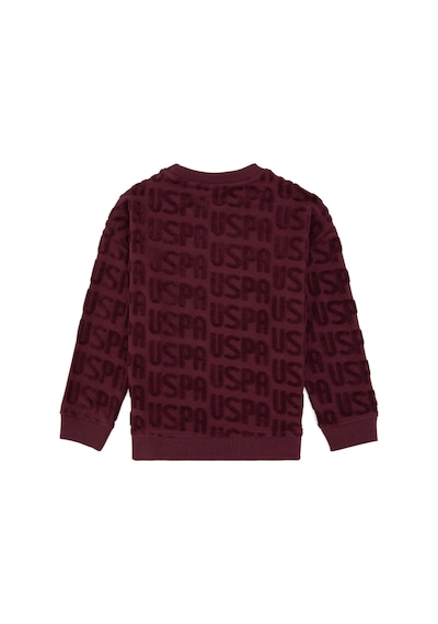 U.s. Polo Assn. Erkek Çocuk Plum Sweatshirt 50308515-vr177 New Plum U.s. Polo Assn. Erkek Çocuk Plum Sweatshirt 50308515-vr177 New Plum