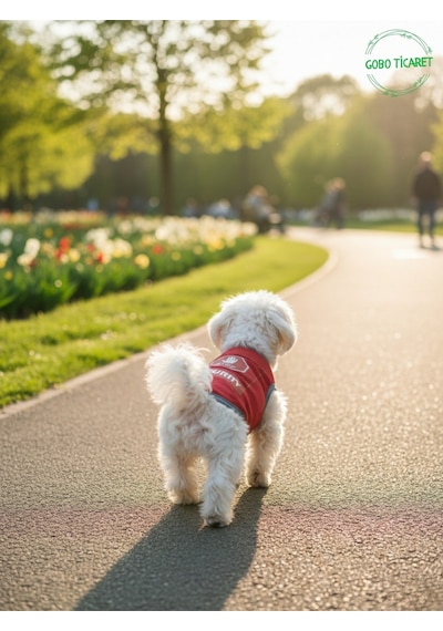 Kırmızı Stop Security Güvenlik Baskılı Kedi Ve Köpek Kıyafeti Tişörtü Elbisesi Xsmall/xs/beden 0