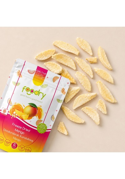 Foodry Dondurularak Kurutulmuş Mango Freeze Dry Mango Katkısız Çıtır Meyve Atıştırmalığı 6 x 17 G