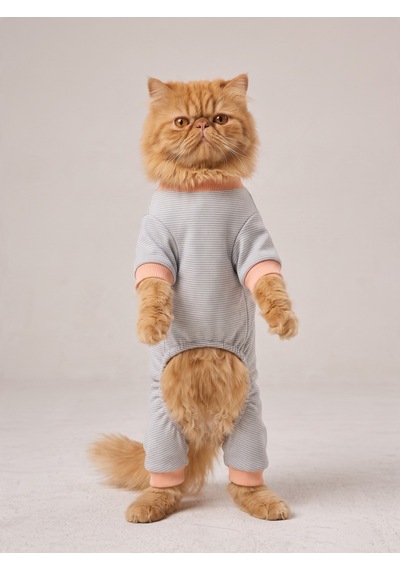 Sweet Cupcake Kedi Tulumu Gri Beyaz İnce Çizgili Penye Kedi Kıyafeti