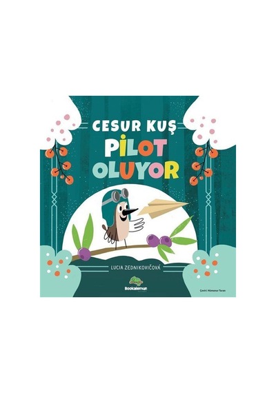 Cesur Kuş Pilot Oluyor / Lucia Zednikovicova