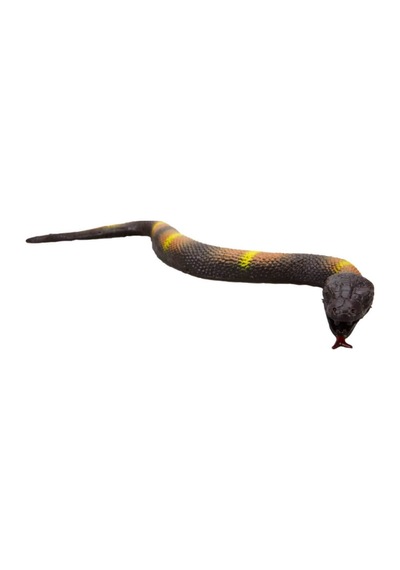 Streç Gerçekçi Yılan 45cm.