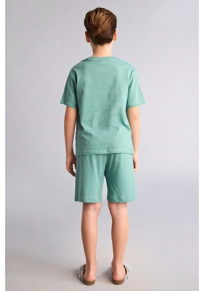 Defacto Baskılı Tişört Şort Pijama Takımı Erkek Çocuk G8829a826hsgn1095 Yeşil-gn1095