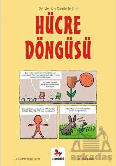 Hücre Döngüsü - Gençler İçin Çizgilerle Bilim - Yqbx-772331