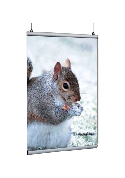 Poster Tutucu Clamp 100cm 10lu Paket