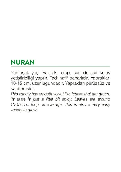 AGRodal Tarım Ata Tohumu Yerli Doğal Roka Nuran 2000 Adet Tohum