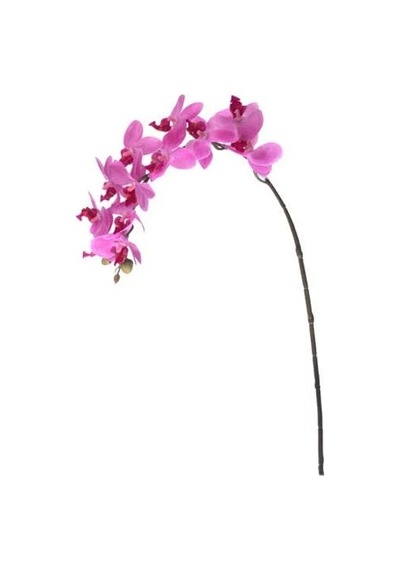 Flora Yapay Çiçek Orkide 57.5 Cm Çok Renkli