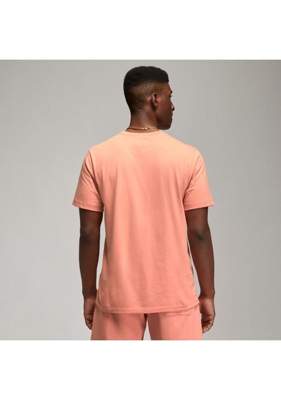 Nike Jordan Air Wordmark Erkek T-Shirt